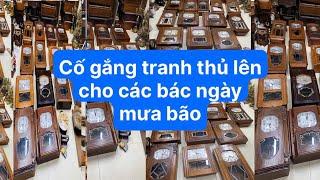 Phiên đồng hồ ngày 11/9/2024 của cửa hàng em Thành Đồ Cổ