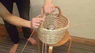 willow basket weaving || плетение корзины из ивы