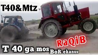 T40 vs Mtz80