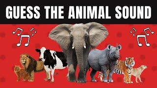 Guess the Animal Sound Quiz | 50 Animal Sounds Quiz |