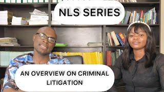 Overview on Criminal Litigation