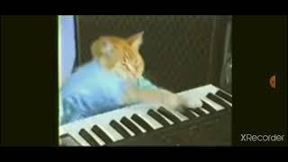 Keyboard Cat in Kalimba