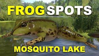 Russian Fishing 4 FROG SPOTS Mosquito Lake