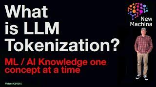 What is LLM Tokenization ?