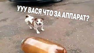 УУУ ВАСЯ ЭТО ЧТО ЗА АППАРАТ?