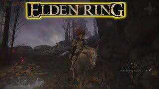 Elden Ring Somber Smithing Stone 4 Location Easy Guide