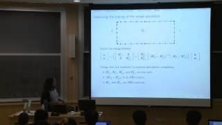 The Hierarchical Poincare-Steklov scheme - Adrianna Gillman