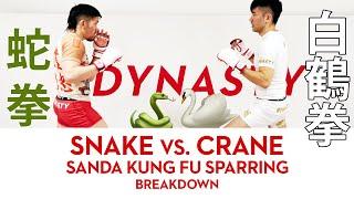 Snake vs. Crane (Sanda Kung Fu Sparring Breakdown) 蛇拳對白鶴拳散打功夫