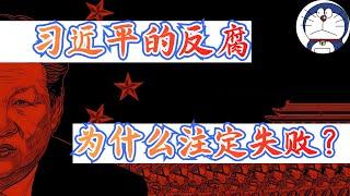 方脸说：连续三任国防部长落马，反腐11年，习近平的反腐为什么越反越多？为什么习近平的反腐注定失败？