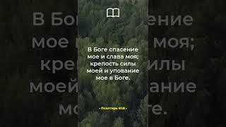 Псалтирь 61:8 - Источник настоящей силы и славы в Боге