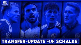 Transfer-Update Schalke: So steht es um Neuzugänge, Ausleihen, Karaman, Hoffmann & mehr!