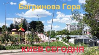 28.06.2024, Голосеевский район, Багринова Гора.