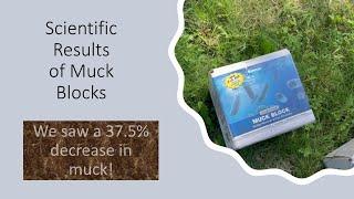 Pond Update  After 1 Year of Muck Blocks (Actual Data!)