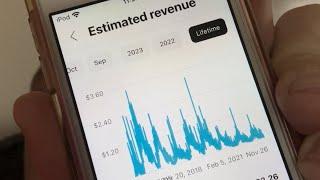 How Much Money My Half Million Views Video On My Riding Mower Has Made (paid for itself!)