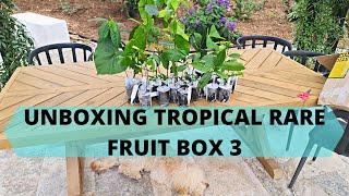 UNBOXING ULTRA RARE TROPICAL FRUIT BOX 3