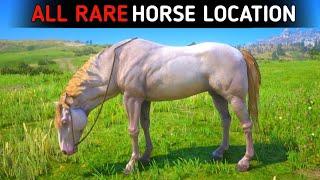 All 14 Rare Horse Locations - RDR2