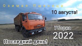 Уборка 2022, 10 августа, озимая пшеница, последний день уборки!