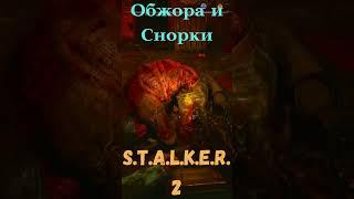 #снорки #STALKER2HeartofChornobyl #yutubeshorts #shortsvideo #gaming #hdvideo #shortsviral #shorts