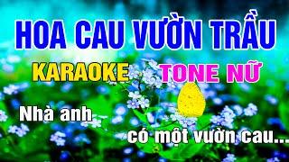 Hoa Cau Vườn Trầu Karaoke Tone Nữ Nhạc Sống gia huy karaoke