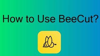 How to Use BeeCut