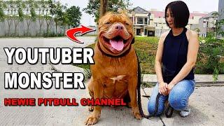 YOUTUBER MONSTER - HEWIE SI ANJING PITBULL