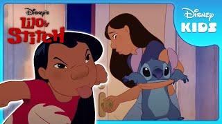 Stitch's New Home!  | Lilo and Stitch | Disney Kids