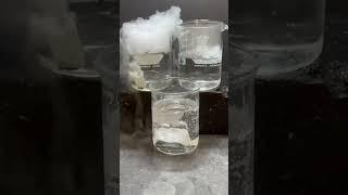 Dry ice in different liquids #shorts #dryice #CO2 #surfacetension #chemistry