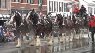 Lebanon Horse Drawn Carriage Parade by Sentimental Productions