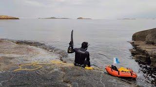 Undervannsjakt på Sørlandet. Spearfishing in Southern Norway.