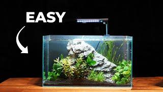 Beginner Planted Aquascape Tutorial