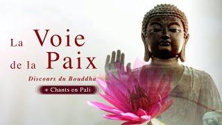 Le pouvoir de la bienveillance. Discours du Bouddha.