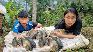 Meet the giant fish - 2 orphans pulling fishing nets - Harvest carp for sale | Boy orphaned parents