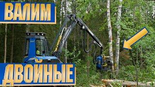 Как валить двойные деревья? How to cut a "twin" trees&