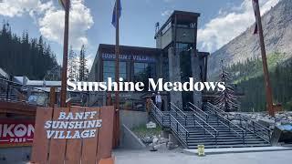 Banff Sunshine meadows / Sunshine Ski Resort hiking / Summer Sunshine