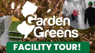 Garden Green Cultivation Walk Thru Video!