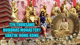 TEN THOUSAND BUDDHAS MONASTERY  | SHATIN HONG HONG (How to get there, historic attractions, views)