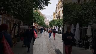 Spain  Andalucia, Seville Walking Tour #short