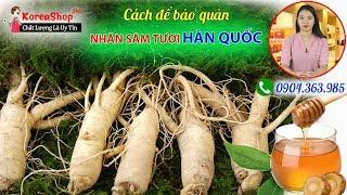 4 Cách Bảo Quản Sâm Tươi Hàn Quốc Để Vẫn Giữ Được Tối Đa Dưỡng Chất Và Mùi Vị Của Sâm | KoreaShop24h