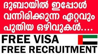 Dubai job vacancy 2024 | UAE Jobs Malayalam | Gulf Jobs Malayalam | Dubai Jobs | Gulf Jobs Today