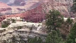 Onlookers scream as woman falls to her death at the Grand Canyon
