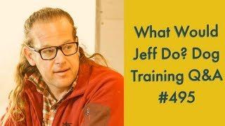 Crating a dog | Train a dog to heel | What Would Jeff Do? Dog Training Q & A #495