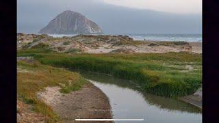 Morro Strand State Beach Camping Family Vlog Part 1 of 3 May 2024