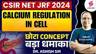 CSIR NET 2024 | Life Science | Blood Calcium Regulation in cell | Important Topic | Dr Ashish Gupta