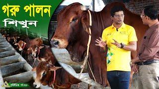 725-গরুর খামার করে লাভবান হতে চাইলে দেখুন এই গাভী ও ষাড় গরুর খামার R.I.Manik.Chitrapuri Krishichitra