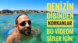 Deniz Korkumuzu Yenelim | Karaltılardan, Balıklardan, Yosunlardan Tedirgin Olanlar! Korkmayın!