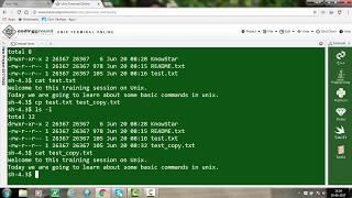 Unix training - Basic File Commands - Learn at KnowStar