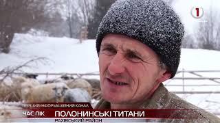 Ілля Вербищук, розповідає про труднощі в утриманні овець. Карпатські вівці. Зимівля овець в Карпатах