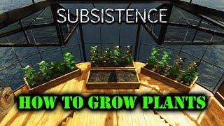 How to Grow Plants in Subsistence