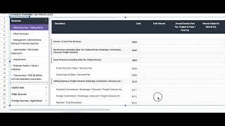 Pakistani Business Owners: Don't Fear the Tax Return - Manufacturing/Trading Guide