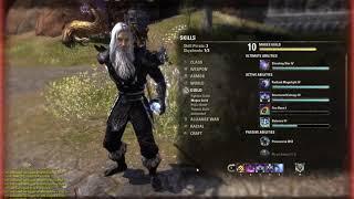 Scalebreaker sorcerer  build and skills changes